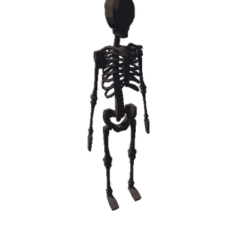 skeleton (14)